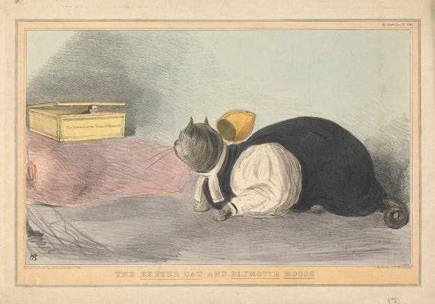 Eine schwarz-weiße Katze liegt auf dem Boden neben einer Kiste mit einer Person darin, und Text ist unten im Bild sichtbar.