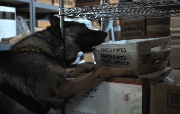 Ein schwarzer und brauner Polizeihund ruht auf einem Stapel Kisten in einem Lagerhaus, umgeben von Kartonagen auf Regalen.