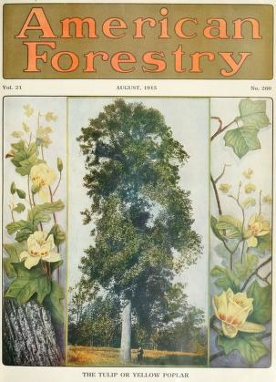 Titelbild der *American Forestry Magazine*, August 1915, mit farbenfrohen Illustrationen von Bäumen und Blumen.