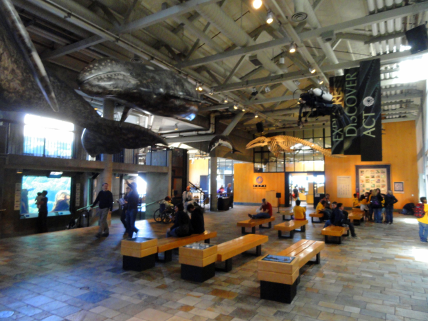 Ein gro├če Raum mit zahlreichen Menschen auf B├Ąnken und Stehpl├Ątzen, von der Decke h├Ąngende Banner, Lichter, ein Display auf der linken Seite und verschiedene Gegenst├Ąnde im Hintergrund, die an einen Museumsraum erinnern.