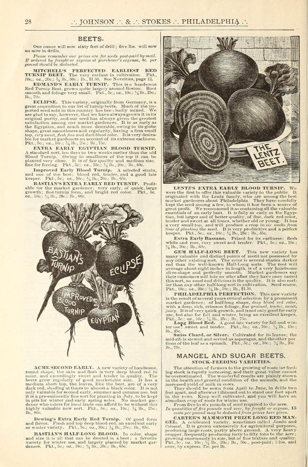 Offenes Buch mit Bildern und Text über Gemüse, einschließlich Rüben, auf seinen Seiten.