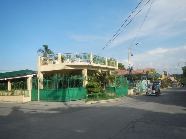 Eine Straße mit fahrenden Fahrzeugen, ein grünes Gebäude mit einem passenden Zaun, Geländern, Vegetation, Bäumen, Strommasten mit Drähten und Lampen und eine Flagge, vor einem bewölkten Himmel.