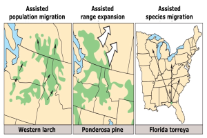 Eine Karte der Vereinigten Staaten, die verschiedene Arten der unterstützten Bevölkerungswanderung hervorhebt, begleitet von beschreibendem Text.