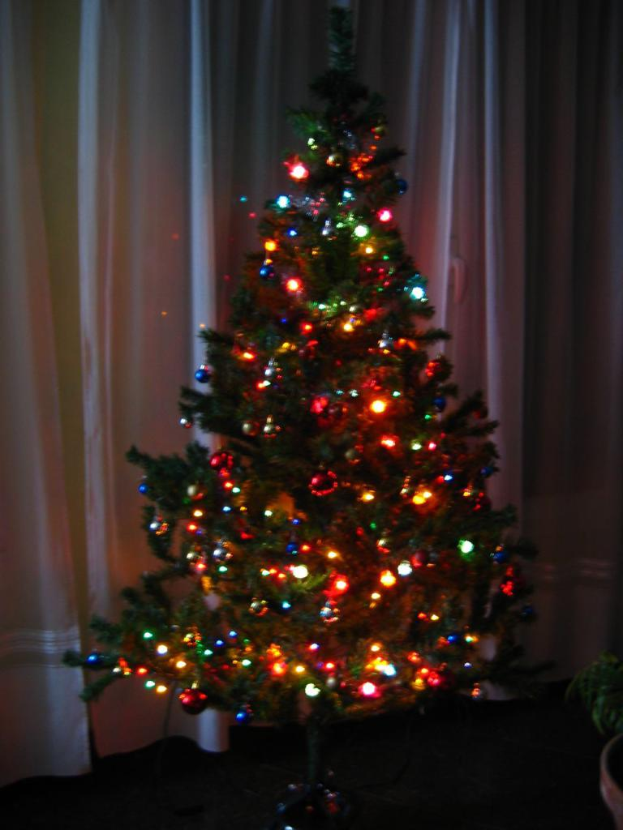 Ein Weihnachtsbaum mit Lichterschmuck, mit einem Vorhang und einer Topfpflanze im Hintergrund.