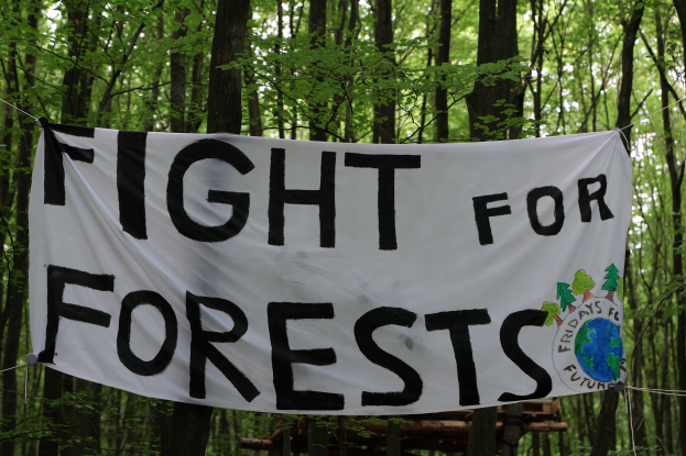 Ein weißes Banner mit schwarzer Schrift, auf dem "Kämpfe für Wälder" steht, hängt an einem Seil zwischen hohen, grünen Bäumen in einem Wald.