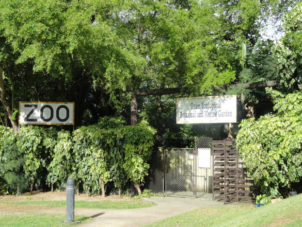 Eintritt zum Zoo mit einem "Zoo"-Schild, umgeben von grünem Gras, hohen Bäumen, einem blauen Himmel, einem Vordergrundpfahl und einem Maschendrahtzaun im Hintergrund.