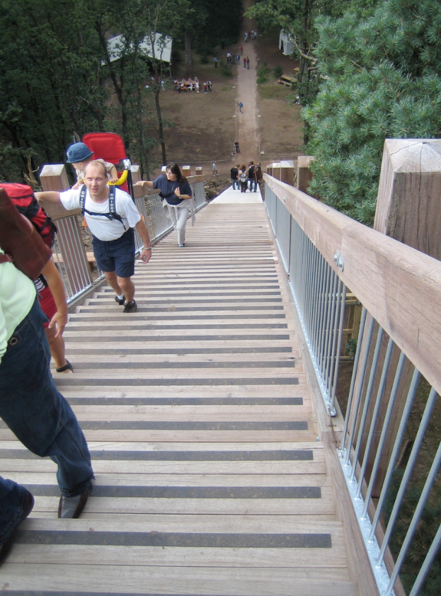 Eine Gruppe von Menschen versammelt sich unter den Sternen mit Zelten und Bänken, Bäume im Hintergrund.