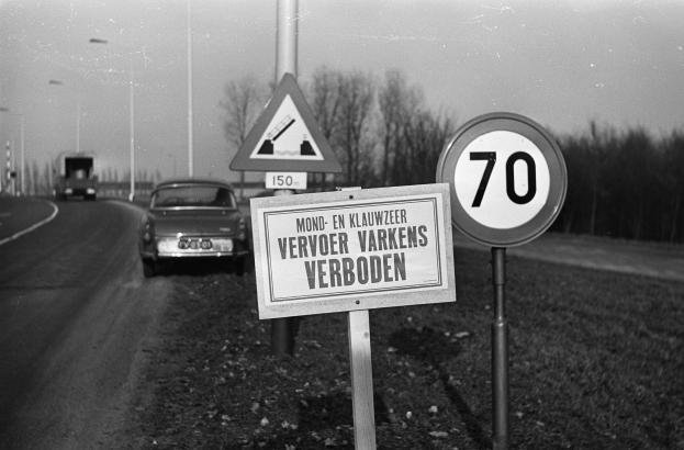 Schwarzes und wei├čes Foto eines Tempolimitschildes am Rande einer Stra├če mit einem vorbeifahrenden Auto, B├Ąumen, Masten und einem klaren Himmel im Hintergrund.