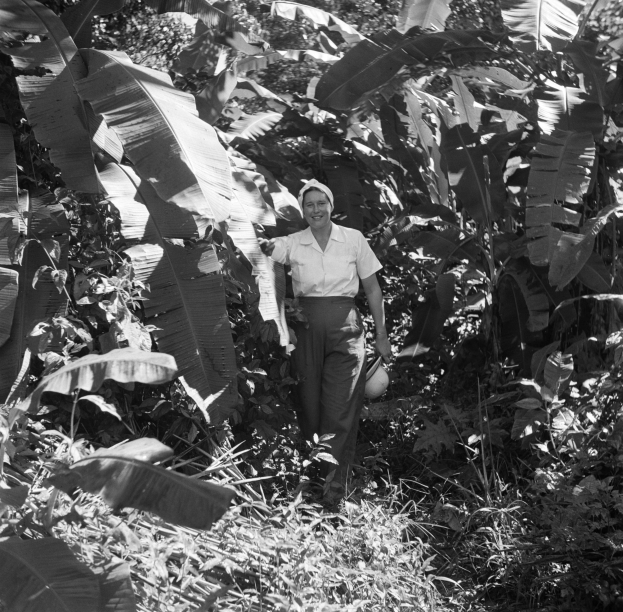 Eine Frau steht in einem Dschungel umgeben von hohen Bäumen und üppiger Vegetation, trägt ein weißes Hemd und dunkle Hosen, hat ihr Haar zu einem Knoten gebunden, badet im Sonnenlicht, in einem Schwarz-Weiß-Foto.