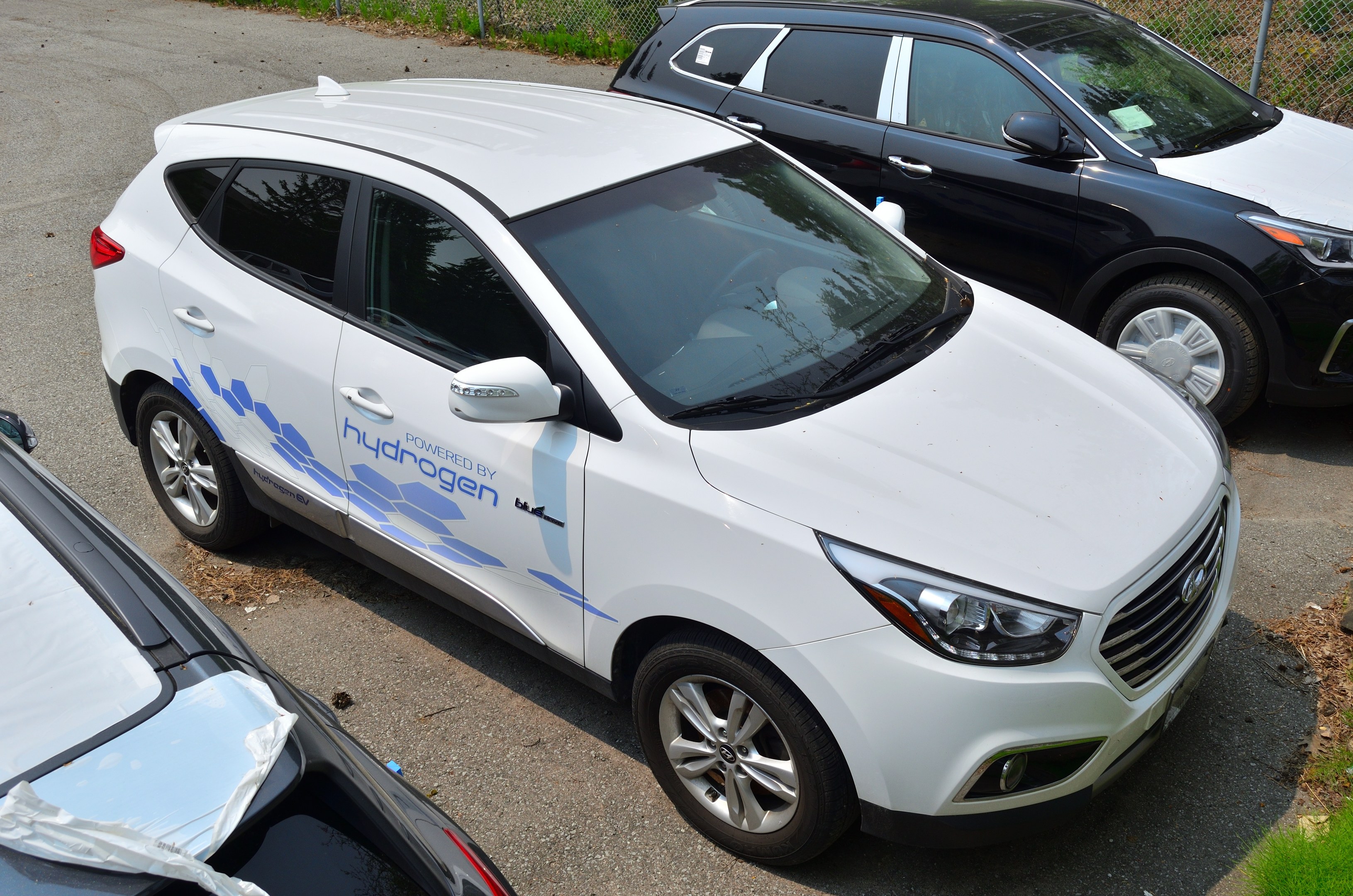 Drei wasserstoffbetriebene Autos nebeneinander auf einem Parkplatz mit Maschendrahtzaun und Gras im Hintergrund geparkt