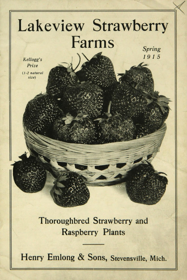 Plakat aus dem Frühjahr 1915 für Lakeview Erdbeerfarmen, das "Zuchtstamm Erdbeeren und Himbeeren" bewirbt, mit einem Korb reifer roter Erdbeeren oben drauf.