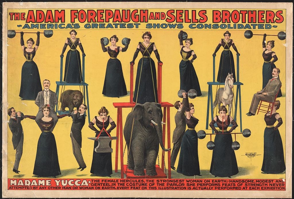 Plakat für Adam Forepaugh und Sells Brothers' America's Greatest Shows Consolidated mit Performern auf Hockern und einem Elefanten sowie Text.