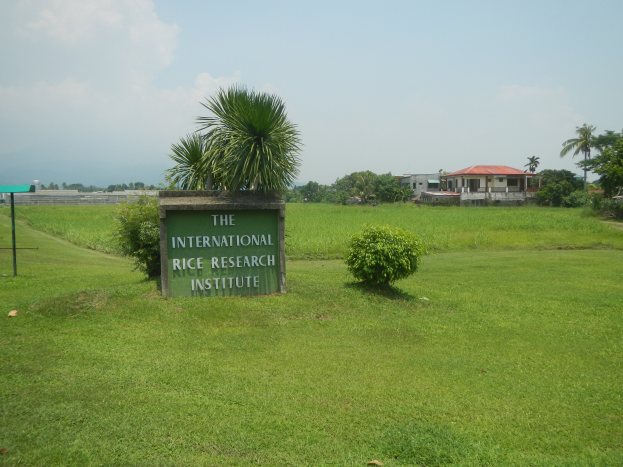 Das Internationale Reiseforschungsinstitut im Gras vorne, mit Gebäuden, Bäumen und einem bewölkten Himmel im Hintergrund.