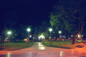 Ein Park bei Nacht mit beleuchteten Wegen, Bänken rechts, Gras, Bäumen im Hintergrund und einem sichtbaren Himmel.