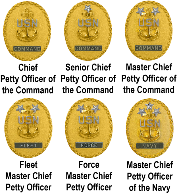 Sechs Goldm├╝nzen mit den Namen des Petty Officer des Kommandos darauf, vor einem weißen Hintergrund.