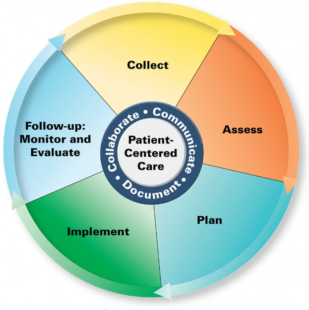 Ein Kreisdiagramm mit der Überschrift "patientenorientierte Pflege", das in vier farbige Abschnitte unterteilt ist, von denen jeder einen bestimmten Aspekt der Pflege beschreibt.