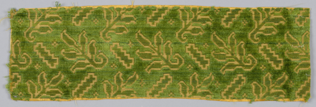 Algacore-Projekt der Textil- und Bekleidungstechnologie-Fakultät an der Niederrhein Universität der angewandten Wissenschaften - Bekleidung aus Algen in der Zukunft?