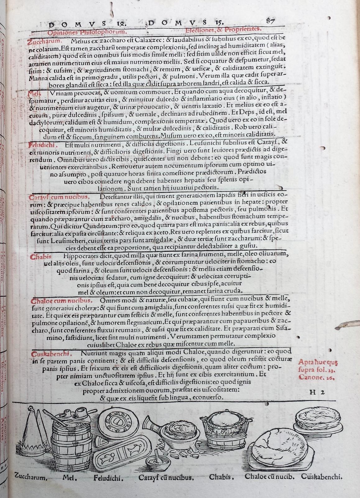 Ein aufgeschlagenes Buch, das eine Seite mit Text in verschiedenen Schriften und Farben sowie detaillierte Illustrationen von Obst, Gemüse und Getreide zeigt.