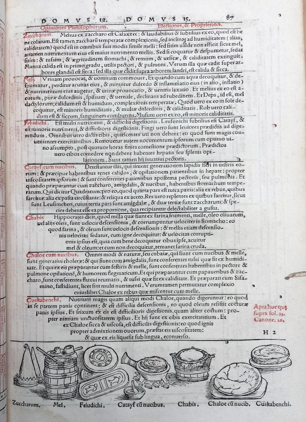 Ein aufgeschlagenes Buch, das eine Seite mit Text in verschiedenen Schriften und Farben sowie detaillierte Illustrationen von Obst, Gemüse und Getreide zeigt.