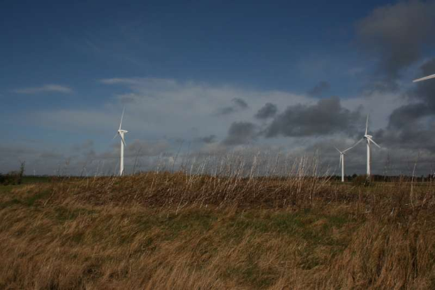 Ein Windkraftwerk im Grünen mit Bäumen im Hintergrund und Wolken am Himmel, mit Text, der den Standort Niederlande angibt.