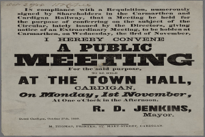 Eine Anzeige für eine öffentliche Versammlung im Rathaus von Cardigan am Montag, den 1. November 1858, mit Text, der das Ereignis beschreibt.