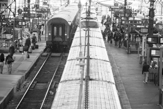 Ein belebter Bahnsteig mit mehreren Zügen auf den Gleisen und vielen wartenden Menschen.
