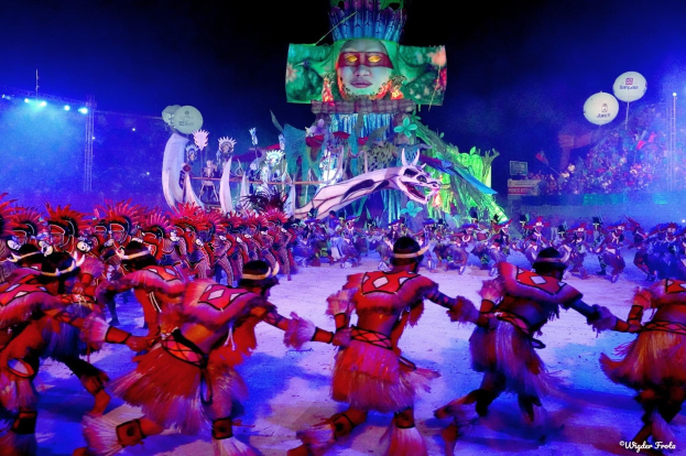 Eine Gruppe von Menschen in bunten Kostümen tanzt auf einer Bühne während des Karnevals in Rio de Janeiro 2014, vor einem Publikum sitzend, beleuchtet von Lichtern und einem Bildschirm im Hintergrund.