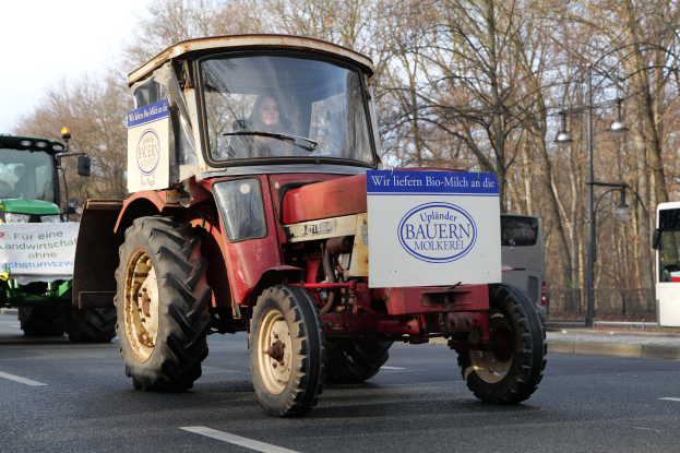 Eine Frau fährt einen roten Traktor eine von Bäumen gesäumte Straße mit Laternenpfählen entlang, unter einem klaren blauen Himmel.